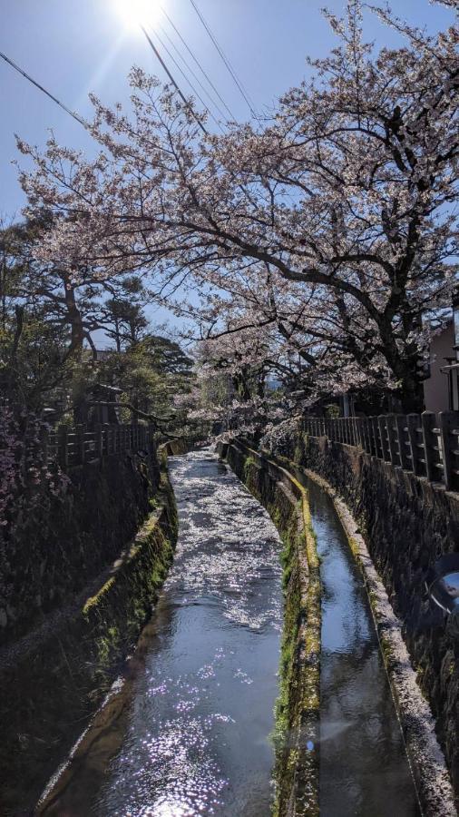桜丸 Sakuramaru *